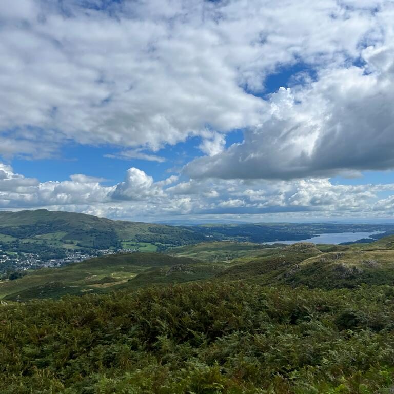 mount view nw