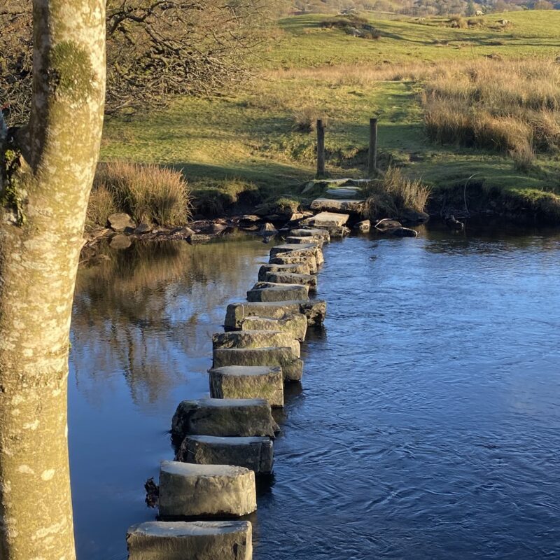 stepping stones 2